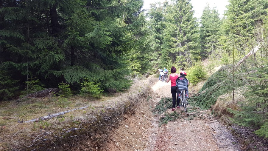 Aventuri in cinci Drumetie cu copiii pe biciclete la munte in Apuseni