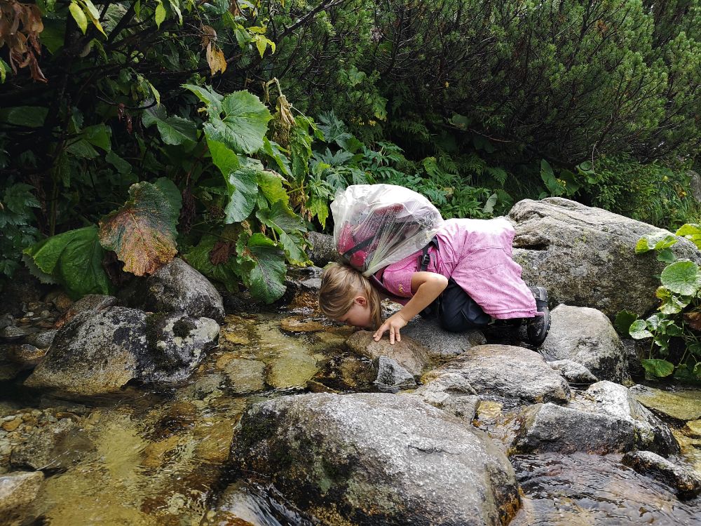 Aventuri in cinci Retezat Lacul Bucura cu copiii